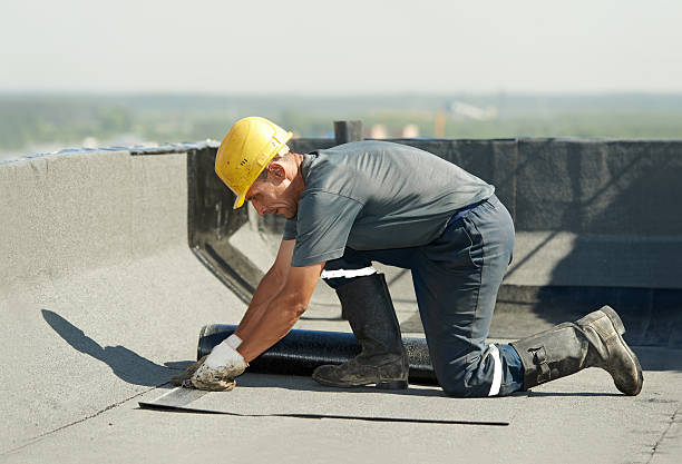 Best Insulation Maintenance and Repair in Lakewood Park, TN
